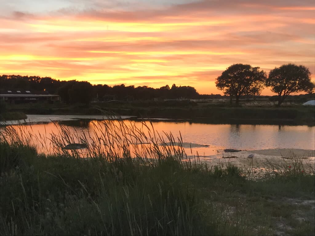 autumn colors in the marshes of Les Sables d'Olonne