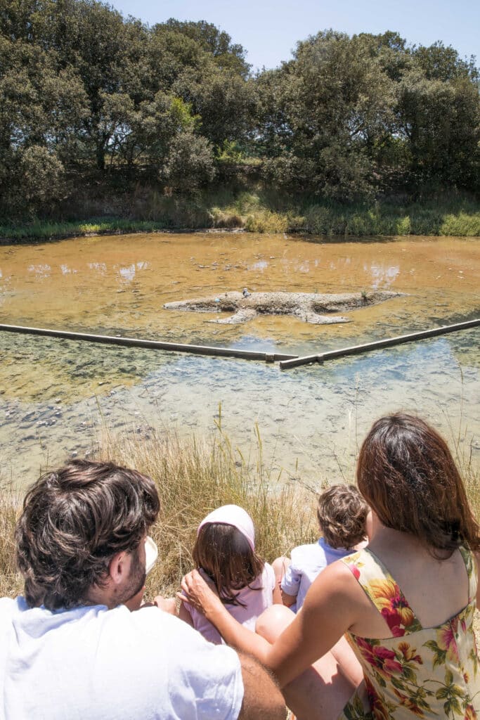 animation nature en famille - crédit photo : S.Bourcier / Vendée Expansion