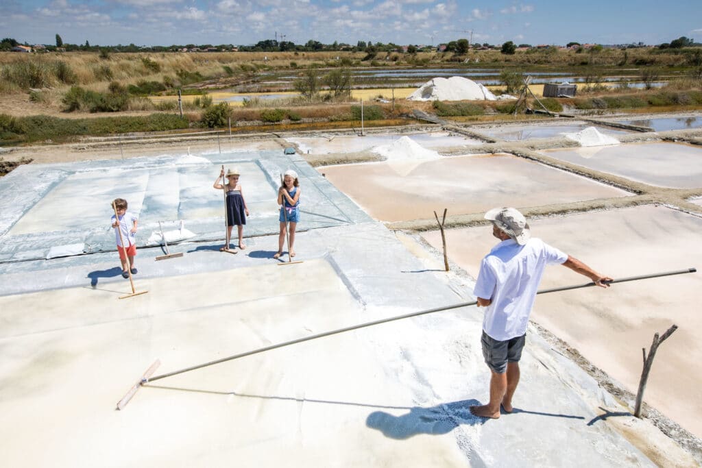 Best family activity in Vendee the Salt Adventure Park