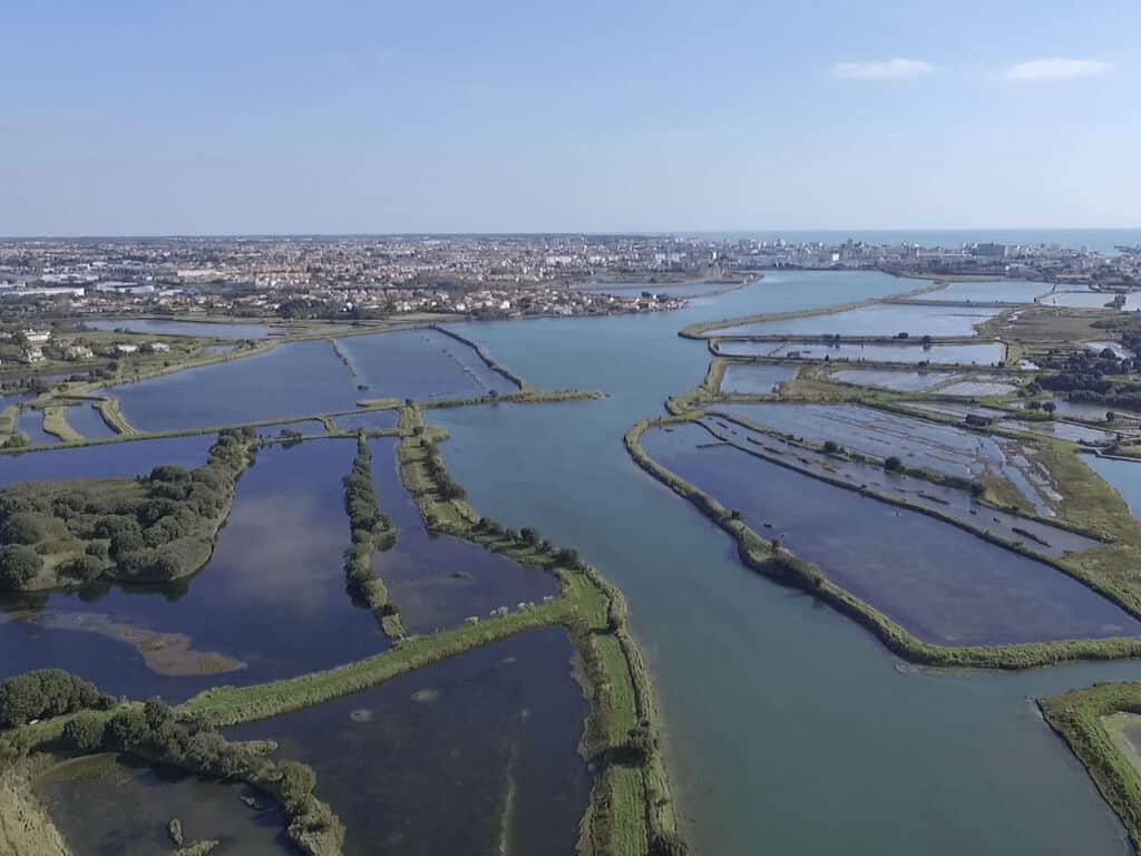 Bateau dans le marais des sables d'olonne