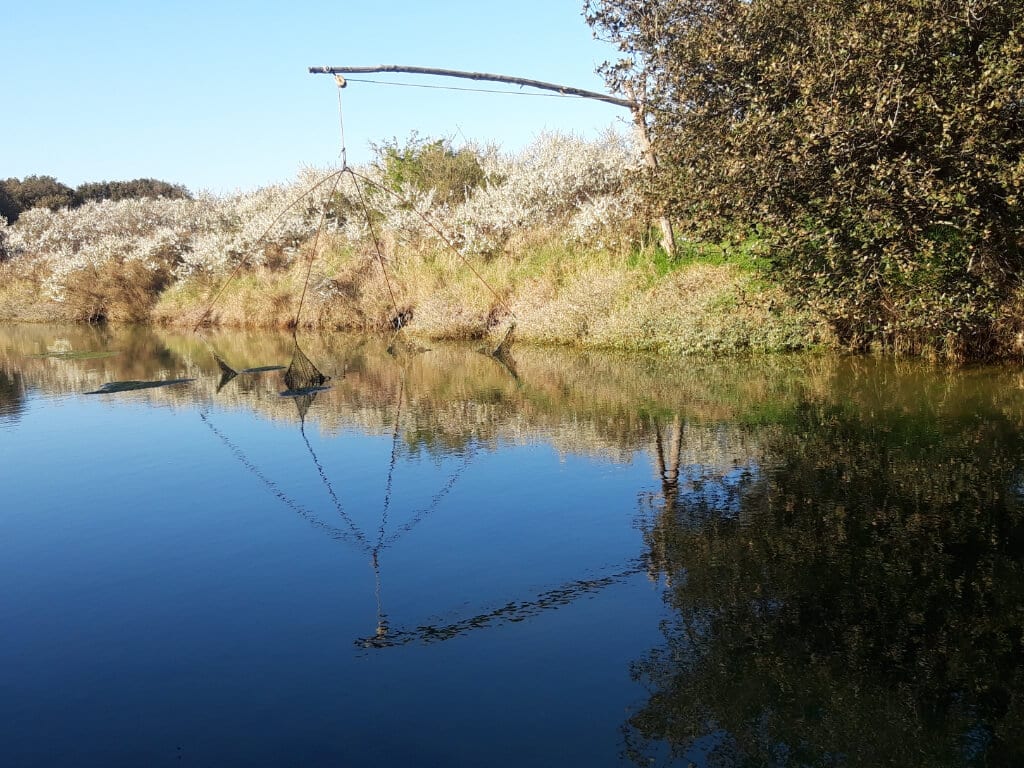 visite nature en vendée