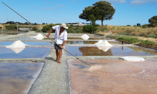 visite patrimoine vendée