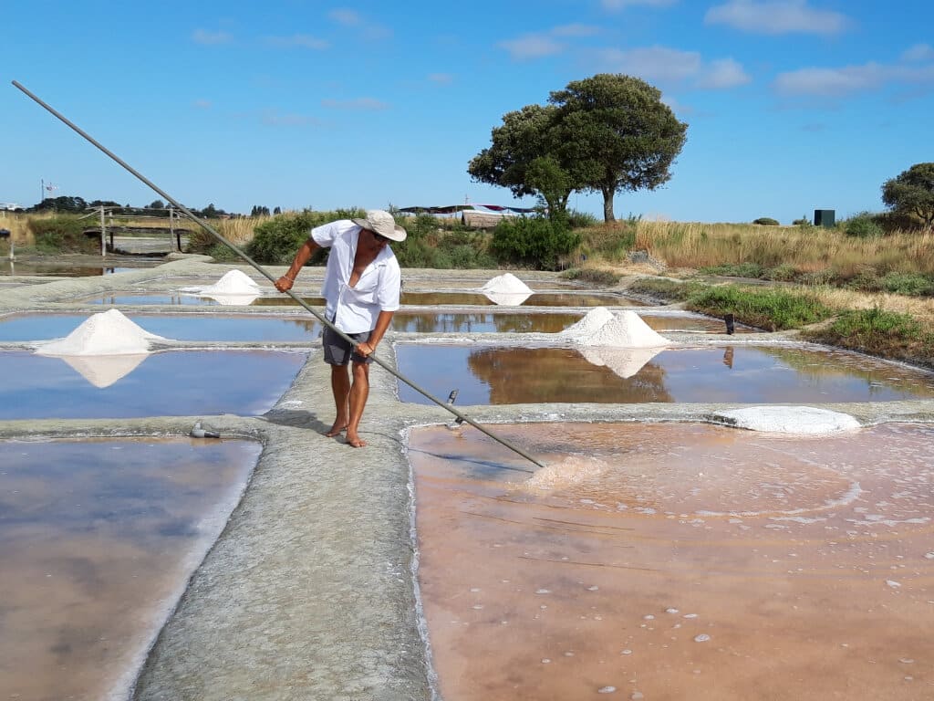 visite patrimoine vendée