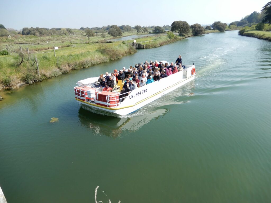 visite en bateau des marais des sables d'olonne 