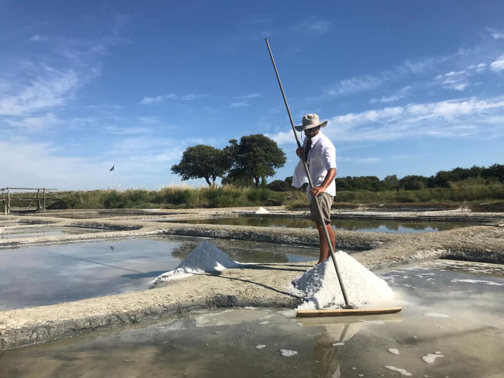 Les Salines - visite patrimoine aux sables d'olonne