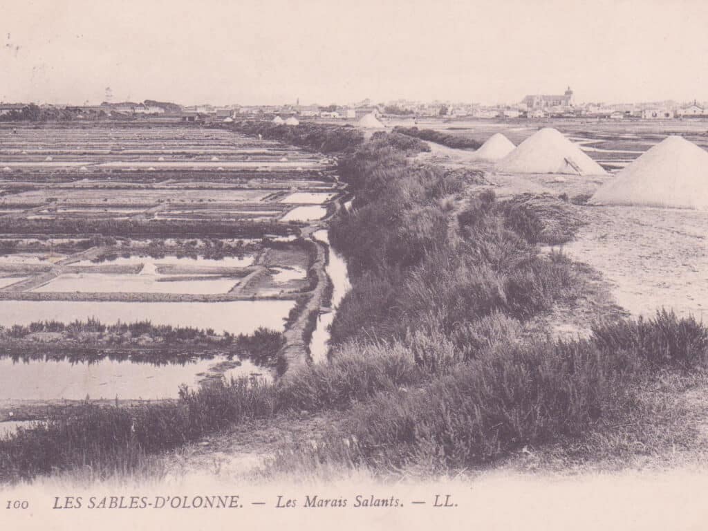 Age d'or des marais salants aux sables d'olonne au XVIIeme siècle.