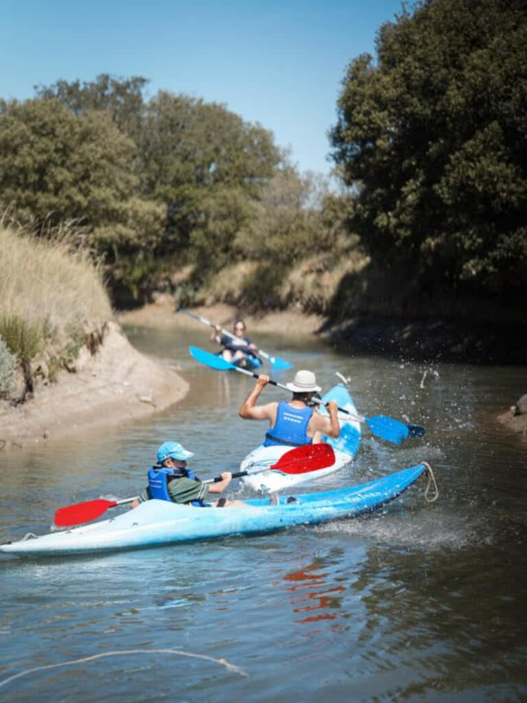 canoës entre amis