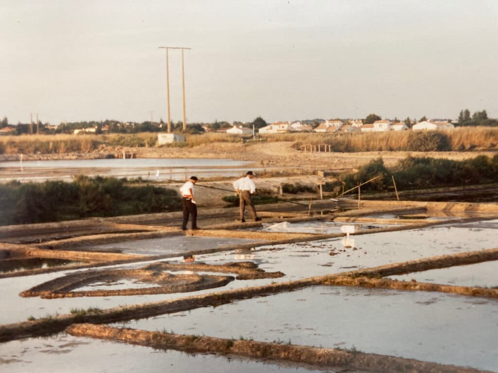 les premières récoltes de sel sur les marais salants des salines aux sables d'olonne.