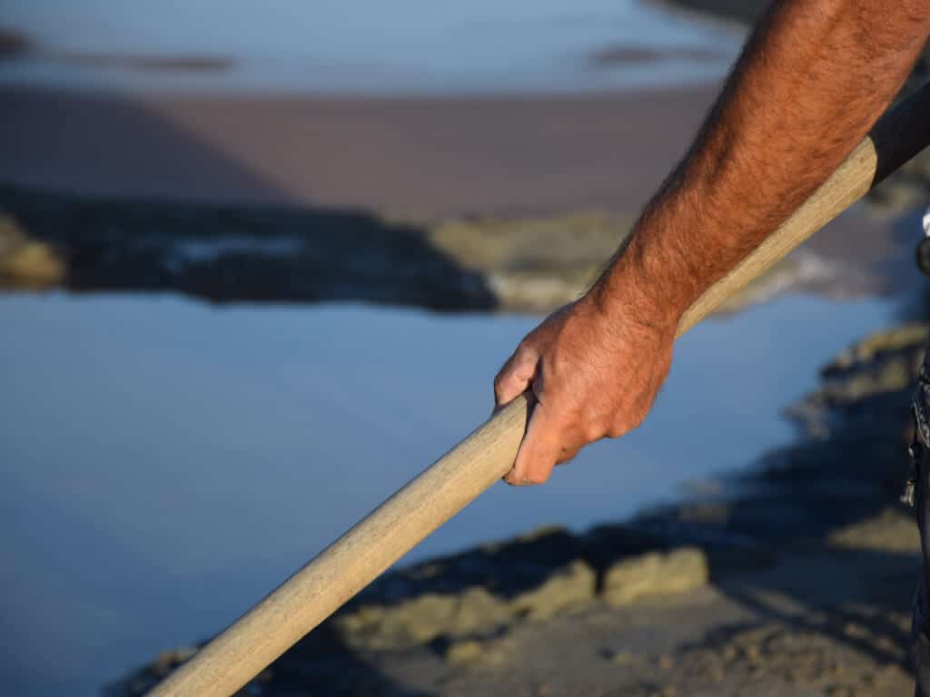 animation with nature in vendee