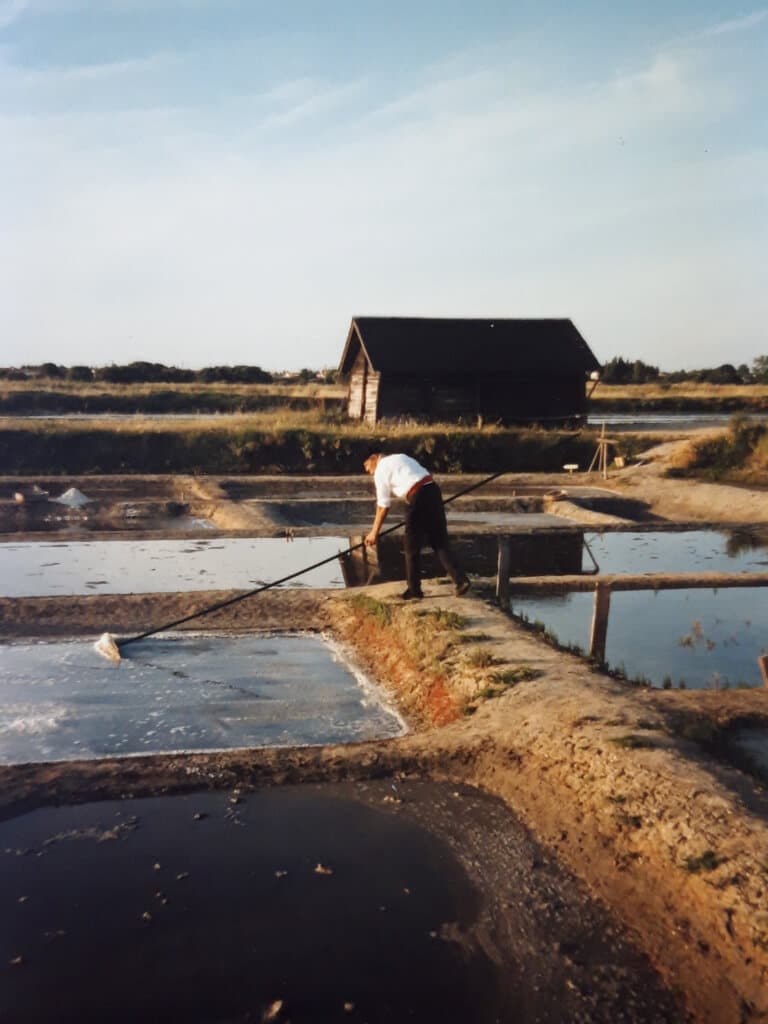 récolte de gros sel dans les marais salants des salines aux sables d'olonne