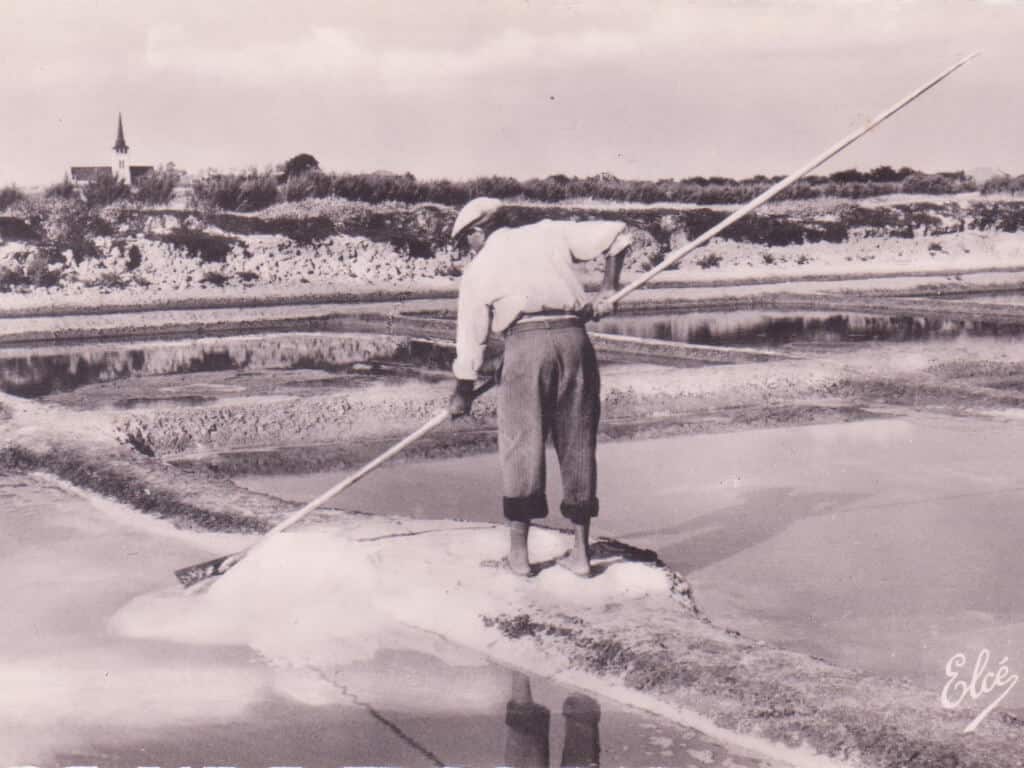 saunier, récolte de sel sur les marais salants aux sables d'olonne - patrimoine