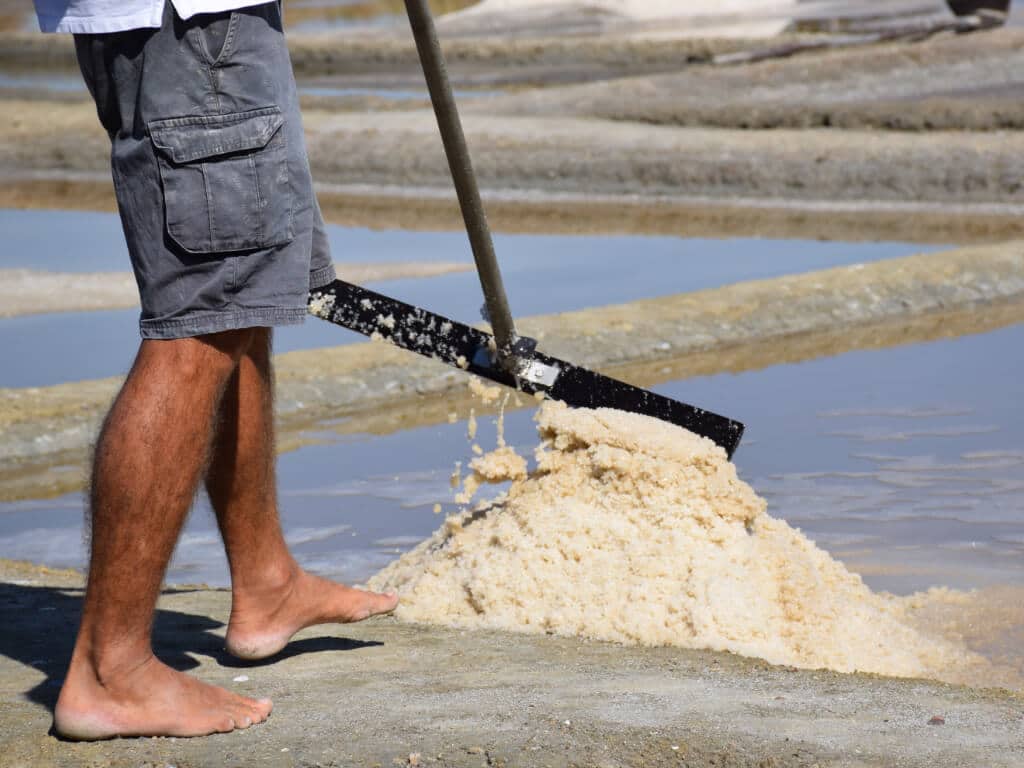 salt maker - nature activity - les salines