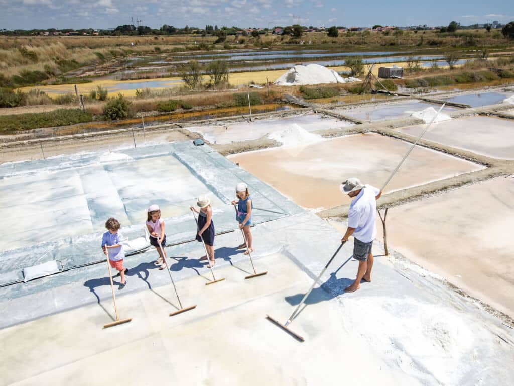 salt harvest for children in les salines sables d'olonne