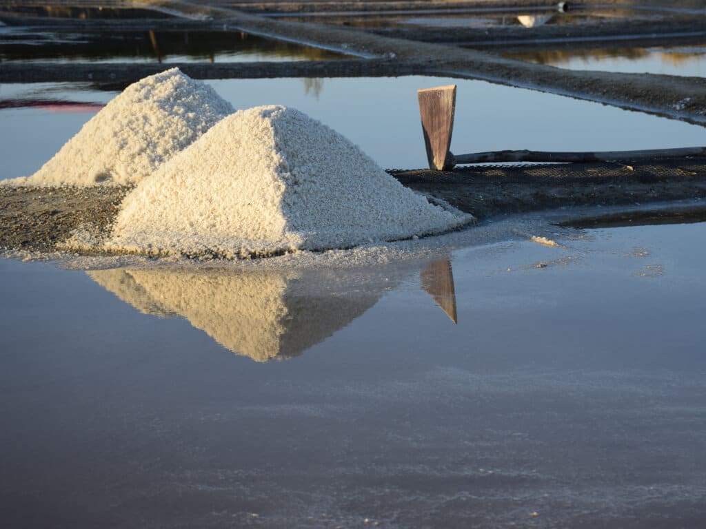 Marais Salants Vendée