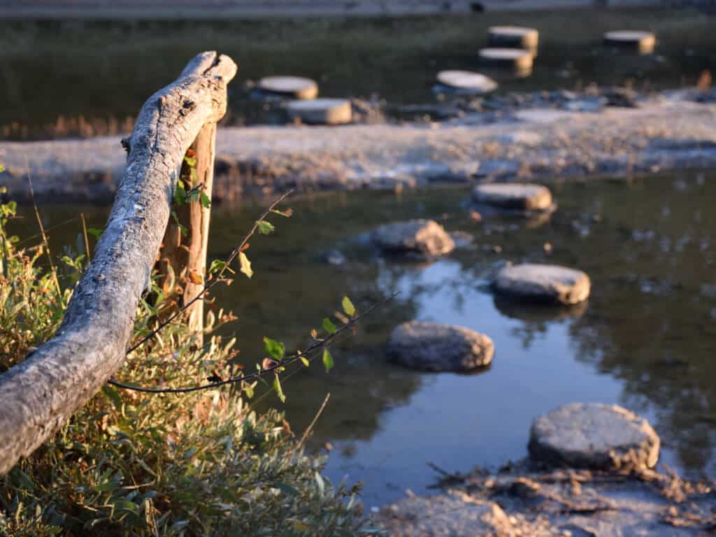 parc d'aventure du sel - se mêle histoire et patrimoine dans les marais salants d'olonne