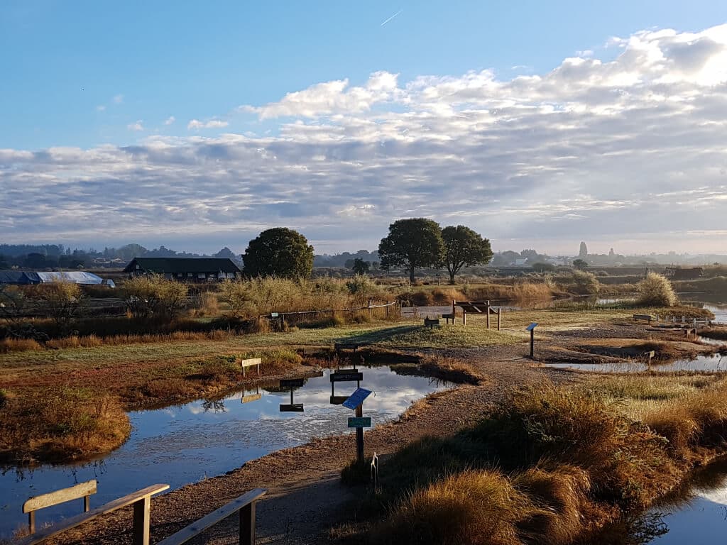 plus beau paysage de vendée en automne