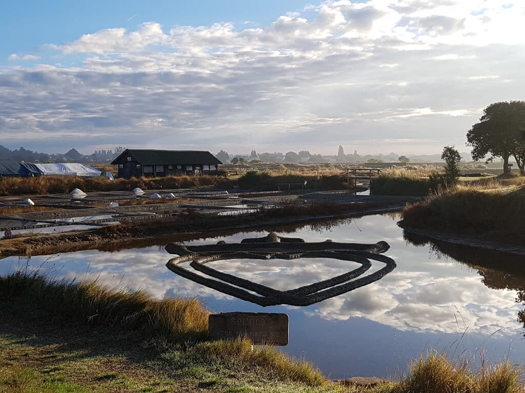 l'un des plus beau paysage de Vendée en automne