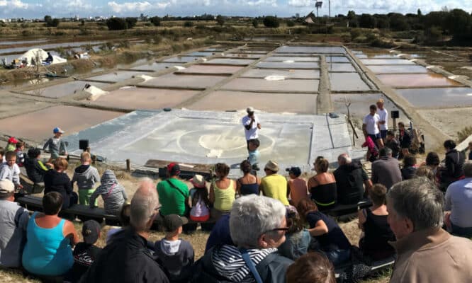 Les salines rencontre du saunier aux sables d'olonne