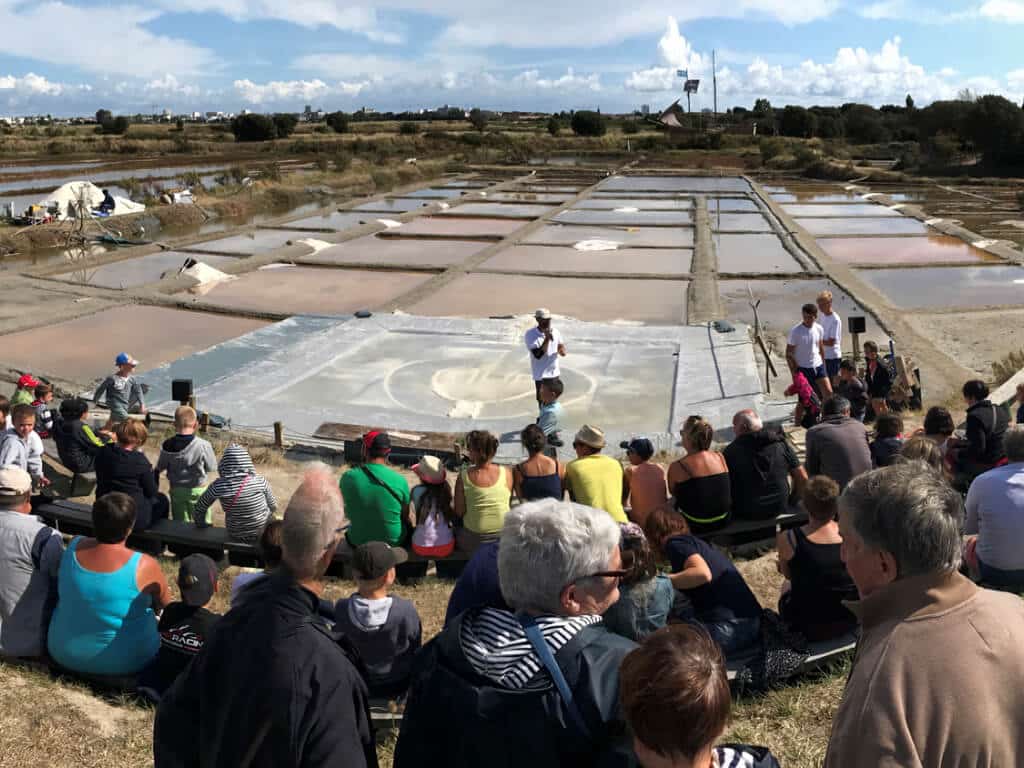 les salines - activité nature - sables d'olonne 