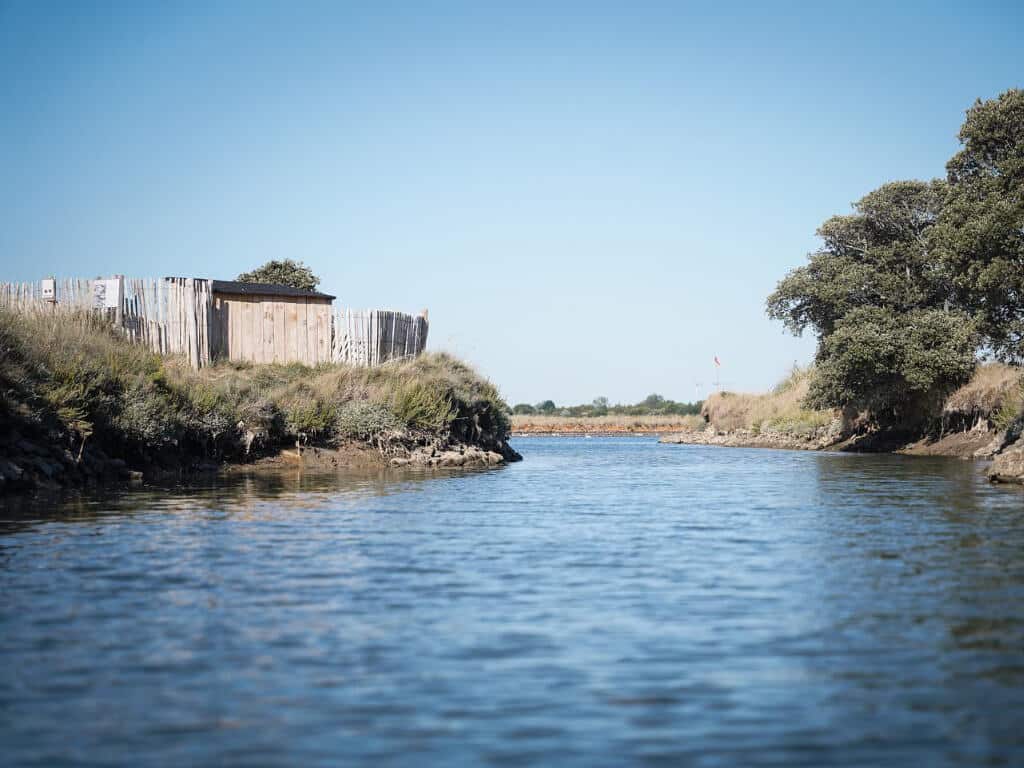 activité insolite environnement - vendée 