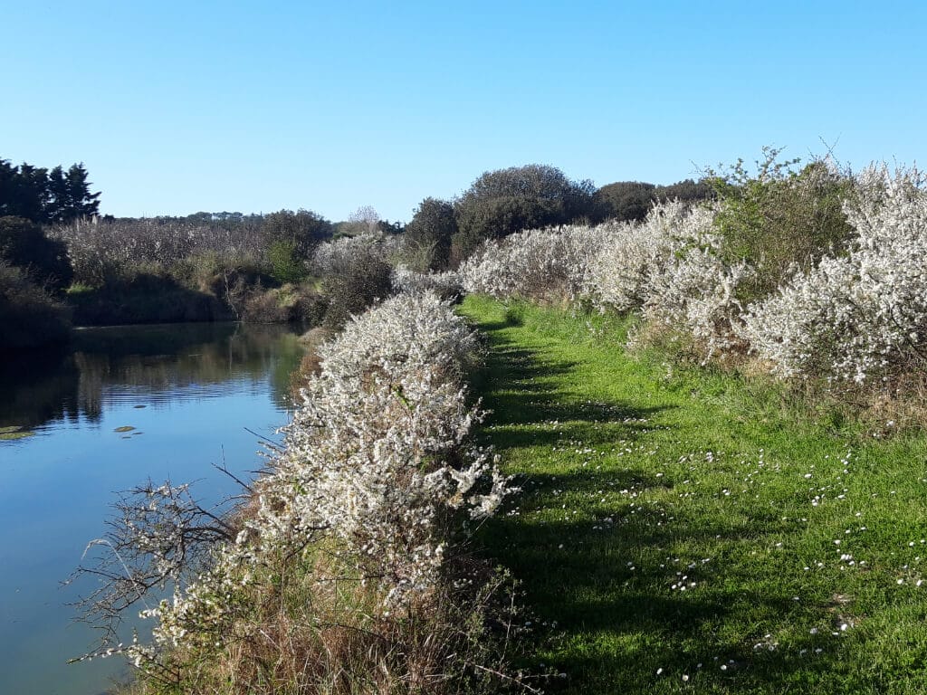 plus bel endroit de vendée