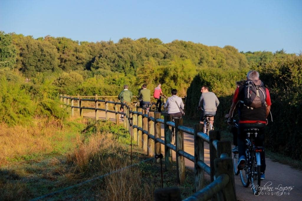 group cycling activity for adults and children