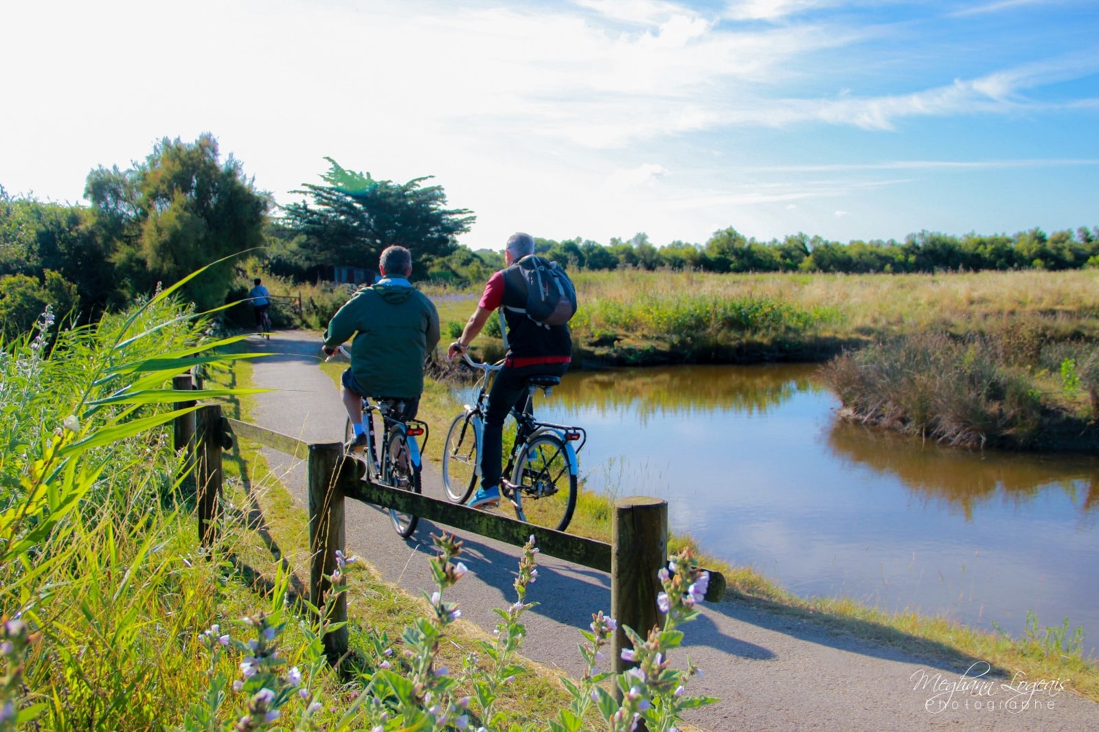 group cycling activity this summer