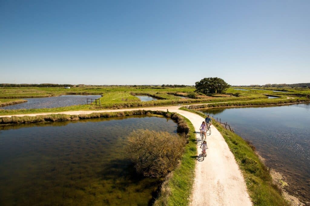 group cycling activity in Les Sables d'Olonne