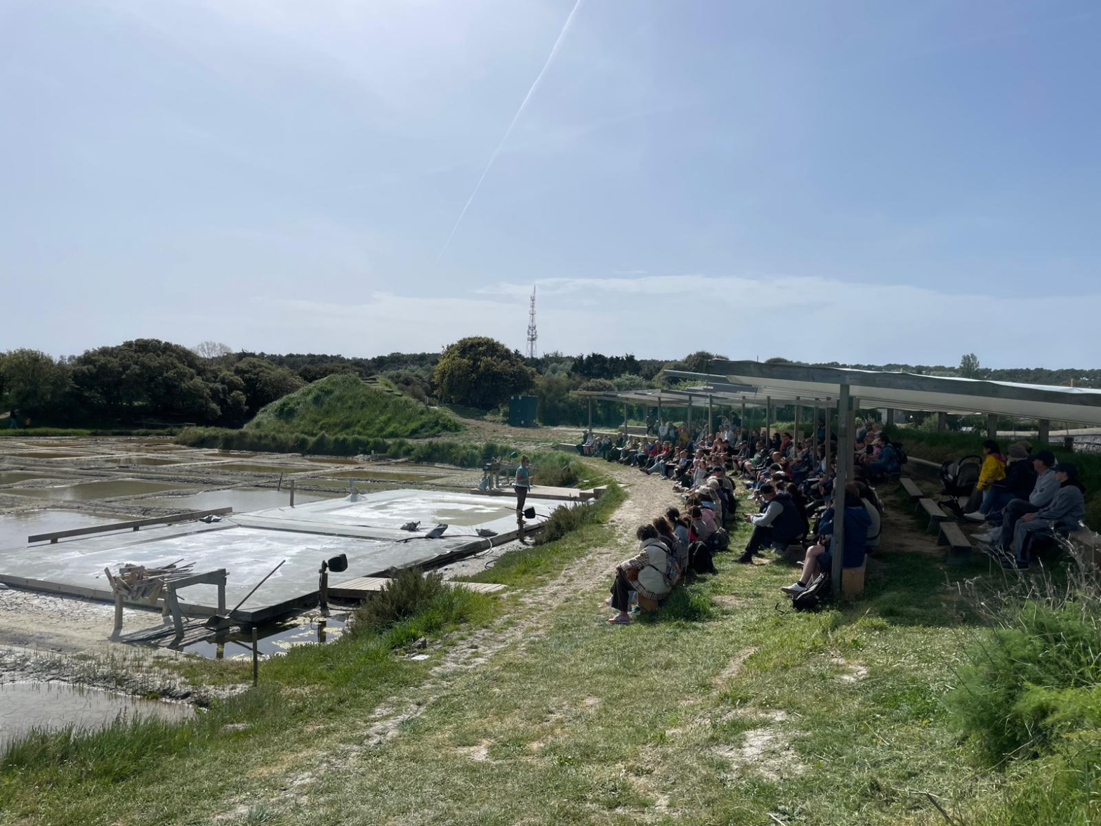 Nouveautés 2026 aux Salines